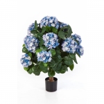 Hortensia de luxe Blauw 62cm